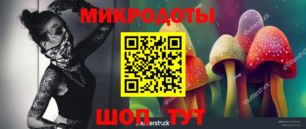 Галлюциногенные грибы Psilocybine cubensis  Галлюциногенные грибы мицелий  Зеленогорск  Вход с VPN 