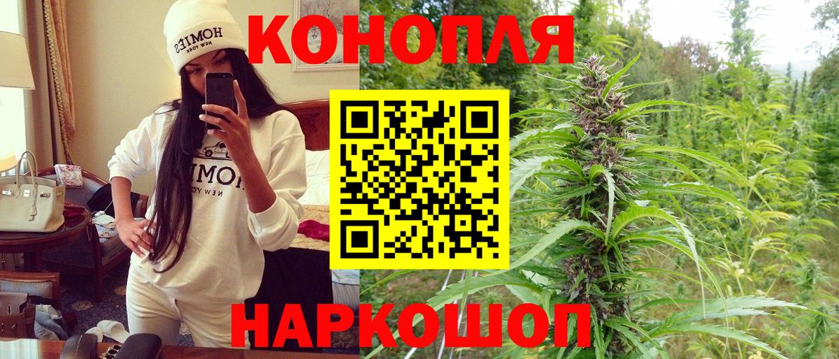 Шишки марихуана VHQ  Конопля White Widow  Вход с VPN  Бошки марихуана THC 21%  Бошки Шишки VHQ  Зеленогорск 